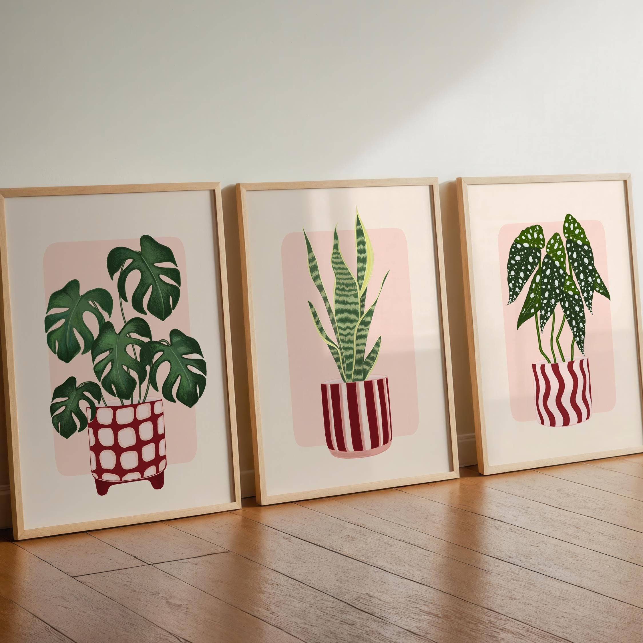 Three framed illustrations of potted plants on a wooden floor.